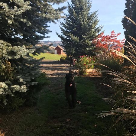 Husum Highlands Bed And Breakfast Exterior foto